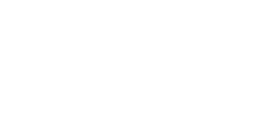 BSM logo blanco